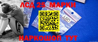 шишки Лесосибирск