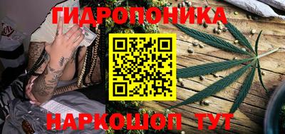 шишки Лесосибирск