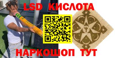 шишки Лесосибирск