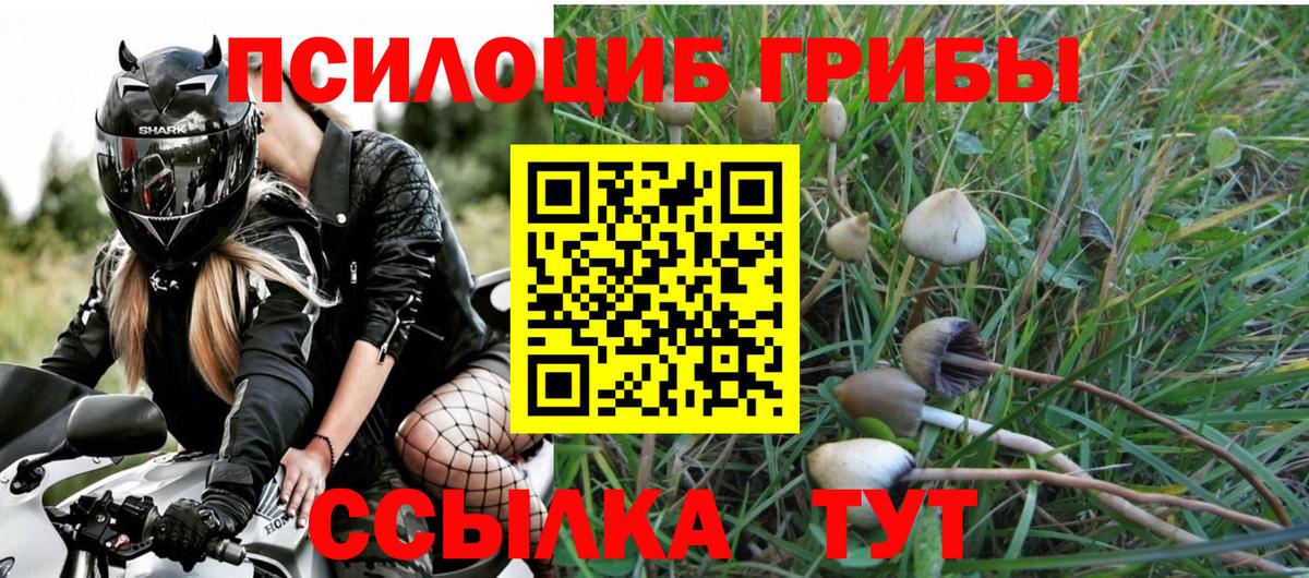Галлюциногенные грибы прущие грибы  магазин    Чусовой  Вход с VPN 
